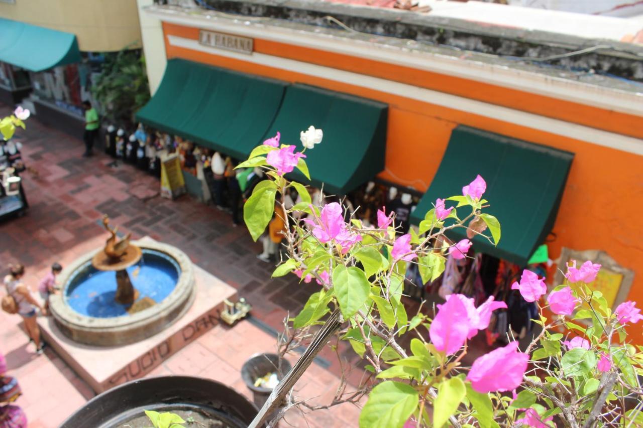 Hotel Concierge Plaza Colima Exterior photo